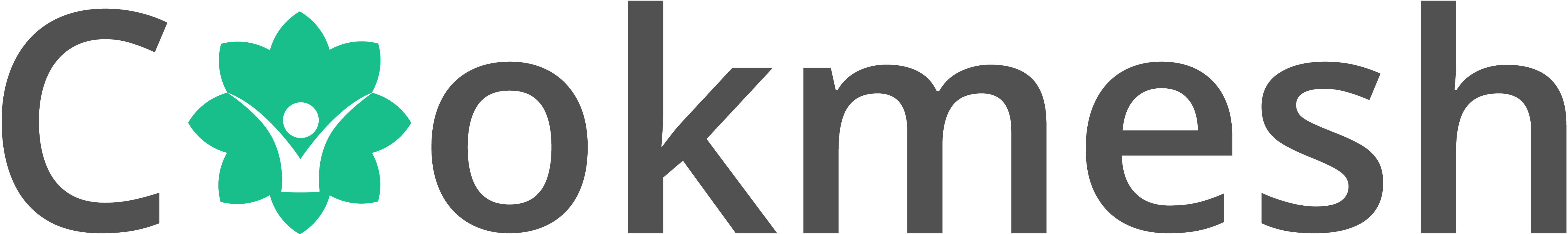 cookmesh logo